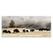 Stupell Industries Grazing Bison Rural Country Fog Canvas Wall Art